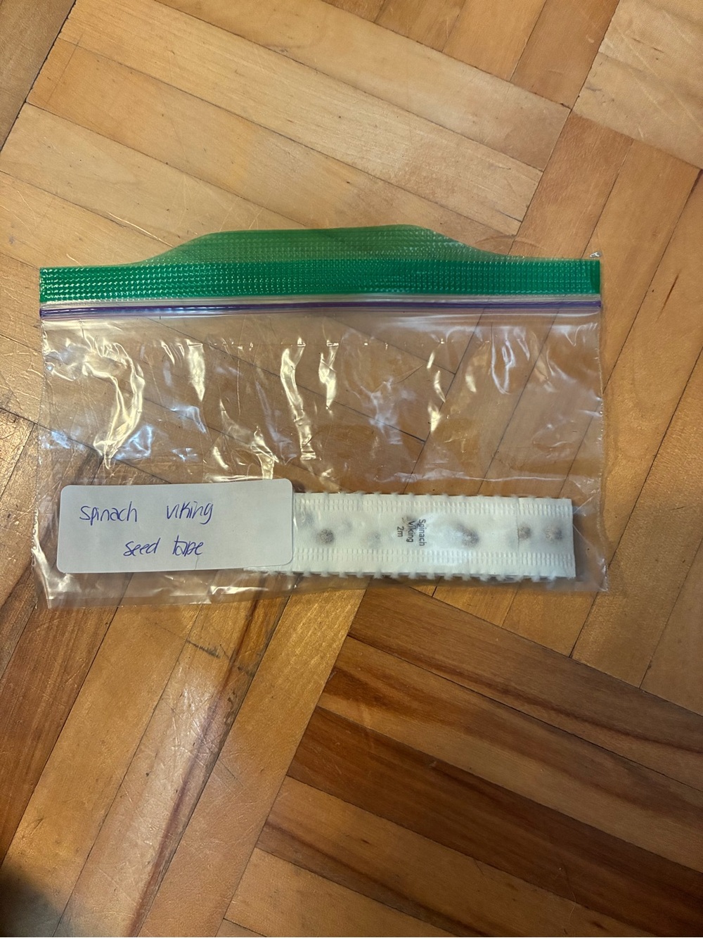Seed tape: spinach, radishes & onion